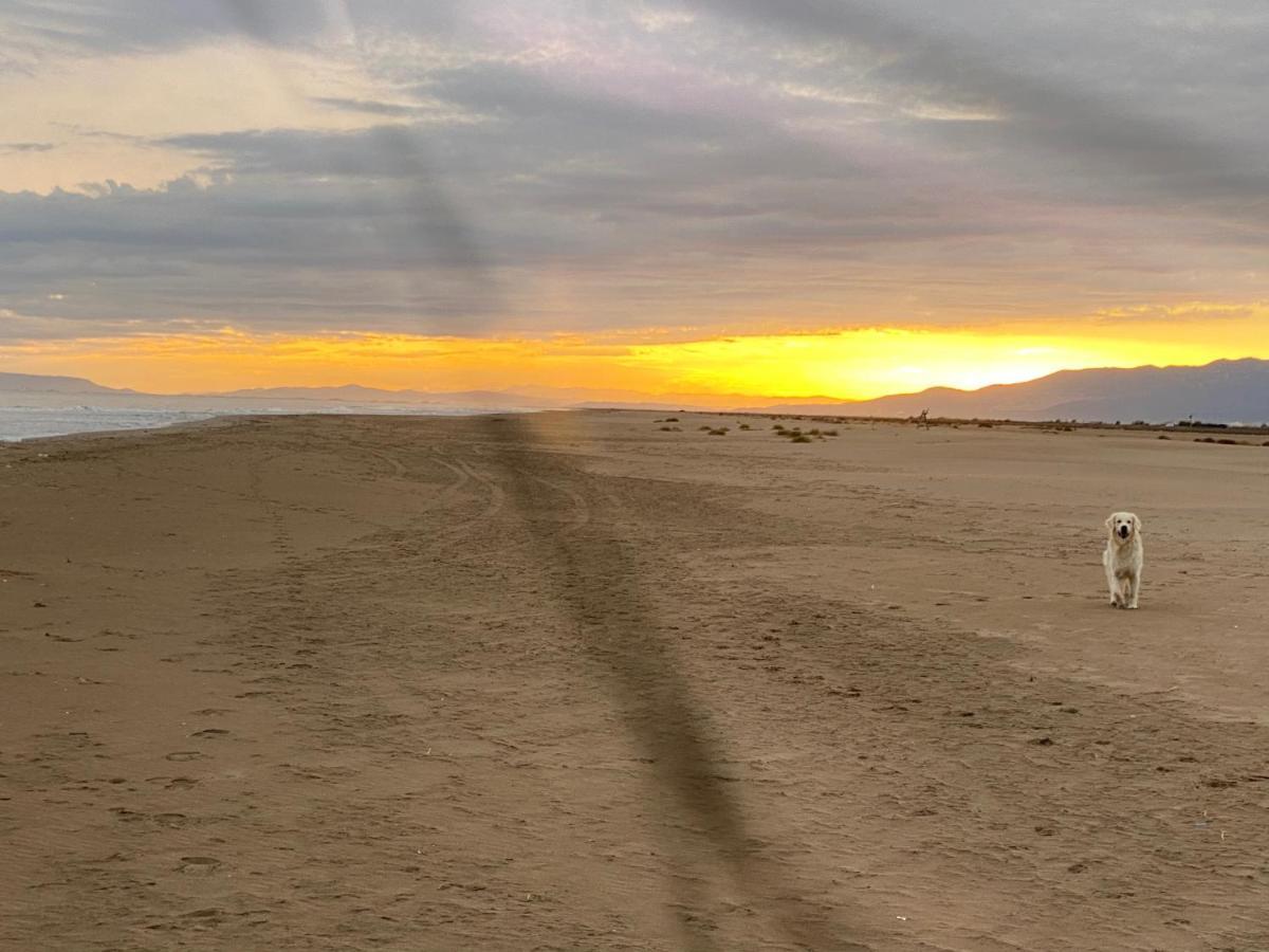 La Calma Del Delta Villa L'Eucaliptus Exteriör bild